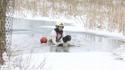 Hond zakt door het ijs en kan niet op eigen kracht uit het water komen