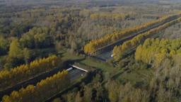 Het Groene Woud - Brabant tussen steden