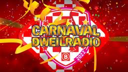 Dweilradio 