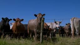 Boeren met de natuur