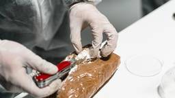 Bij de undercoverzaak werd onderzoek gedaan naar cokesmokkel (foto: Pexels).