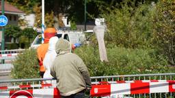 In Kaatsheuvel is een een ‘uitzonderlijk groot’ nest met hoornaars verwijderd.