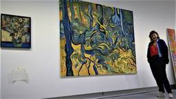 Kunstenaars naar Zundert om van Van Gogh te leren: 'Gaf mij inzicht'