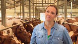 Voor melkveehoudster Rianne van Helmond is nog veel onzeker. 