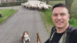 Willem de Kort met zijn kudde schapen (eigen foto).