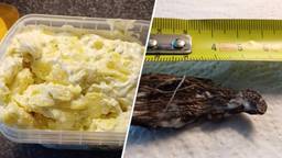 Pascalle vond een 'kakkerlak' in haar salade, het blijkt mee te vallen