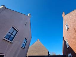 Een kwart van de schoorstenen vertoont gebreken (foto: Noël van Hooft)