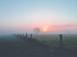 Waarschuwing voor mist (Archieffoto: Pexels).