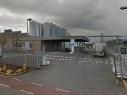 De kaasfabriek van FrieslandCampina in Rijkevoort. (Foto: Google Streetview)