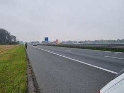 https://api.omroepbrabant.nl/img/f/$width$/$height$/0.21/0.45/bWVkaWEvcHJvZC80NzU1MzYzLmpwZz9zdj0yMDE5LTA3LTA3JnN0PTIwMjAtMDEtMDFUMDAlM0EwMCUzQTAwWiZzZT0yMDQwLTAxLTAxVDAwJTNBMDAlM0EwMFomc3I9YiZzcD1yJnNpZz04ZlhFTnJxTDU4bHJNcjR5dmhoUEFnb05oS0VrRVNVcE5WV3laQU5nMkswJTNE
