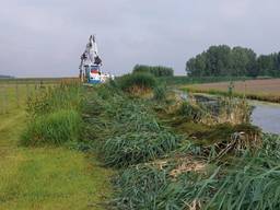 Het maaisel blijft bij het 'nieuwe maaien' grover (foto: Waterschap Brabantse Delta).