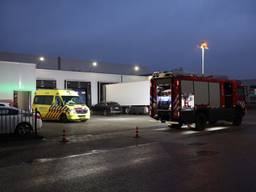 Foto: Sander van Gils/SQ Vision.
