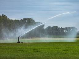 Sproeien is in de meeste delen van het beheergebied van Waterschap De Dommel even niet toegestaan. 