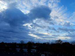 Zeer zacht en buiig novemberweer met veel wind in Waalwijk  (foto: Martha Kivits).