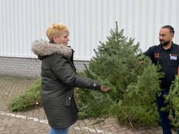 Kerstbomen bij de voedselbank