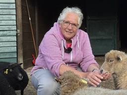 Ina dreigt haar dierenweide kwijt te raken (foto: Megan Hanegraaf).