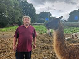 De man samen met een lama, foto uit 2023 (foto: Collin Beijk).