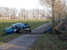 Een boom en een lantaarnpaal, die onder de boom ligt, verder uit de grond gereden. Foto: Marco van den Broek/SQ Vision.