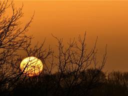 Een prachtige zonsopkomst donderdag in Waalwijk (foto: Martha Kivits).