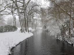 Winterwonderland in Sint-Michielsgestel, 7 februari 2021 (foto: Sandra Kagie).