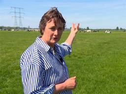 Melkveehouder Angelique Huijben van ZLTO (foto: Omroep Brabant).