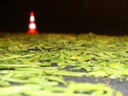 De A65 was woensdagnacht bezaaid met sperziebonen