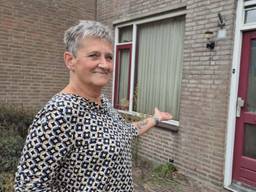 Dode vliegen in de vensterbank, onkruid in de voortuin en schimmel op de ramen