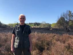 Boswachter Frans van de Wier bij de zwartgeblakerde heide in Son (Foto: Imke van de Laar)