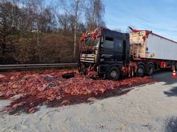 Vrachtwagen verliest lading van 10 ton slachtafval