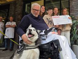 Je huisdier op ziekenbezoek