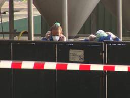 De fokkerijen worden geruimd door de NVWA, samen met de nertsenhouders (foto: archief).