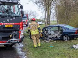 Auto rijdt tegen boom in Zevenbergen