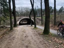 De fietstunnel in Veldhoven.