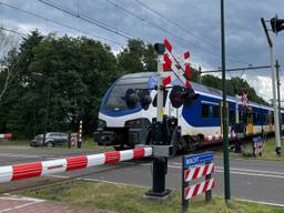 De trein van Maarheeze naar Weert (foto: Alice van der Plas).