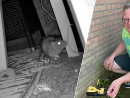 Foto: Omroep Land van Cuijk / Omroep Brabant.