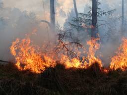 Natuurbrand in Gilze