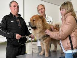 Jos en Oksana bij de dierenarts met hond Potap.