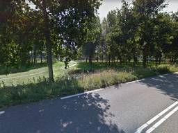 Langs de Statendamweg bij Oosterhout zagen agenten tientallen auto's (foto: Google Streetview).