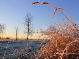 Winterweer (foto: Ben Saanen).