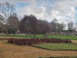 Het Philips van Lenneppark in Eindhoven (afbeelding: Google Streetview).