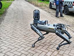 https://api.omroepbrabant.nl/img/f/$width$/$height$/0.37/0.27/bWVkaWEvcHJvZC8zMzU1MDE0LmpwZz9zdj0yMDE5LTA3LTA3JnN0PTIwMjAtMDEtMDFUMDAlM0EwMCUzQTAwWiZzZT0yMDQwLTAxLTAxVDAwJTNBMDAlM0EwMFomc3I9YiZzcD1yJnNpZz11aWFFdzc5SmlOaFc4Q2N1b1FPVVNzTGU5SlFVbHdKQVFyTWYwVFk5TW84JTNE
