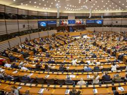 Het Europees parlement in Brussel (Foto: ANP).