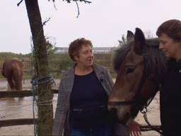 Dit paard hielp Sandra van het roken af: 'Hij kijkt voorbij de sigaret'