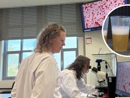 Avans Hogeschool onderzocht herbruikbare bekers om te achterhalen welke bacteriën er op de bekers achterblijven (foto: Omroep Brabant).