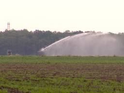 Veel boeren gebruiken hun beregeningsput (beeld: Omroep Brabant)