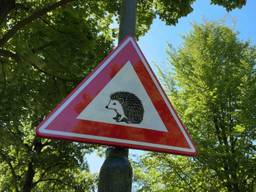 Het verkeersbord dat waarschuwt voor overstekende egels (foto: Dtv Nieuws).