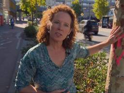Ingrid Ramaan voert actie om de platanen in Tilburg te behouden (foto: Jan Waalen).