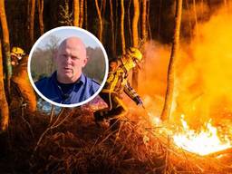 Nu al kans op bosbranden in Brabant: ‘Het is wachten op doden’