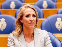 SP-leider Lilian Marijnissen treedt per direct terug als fractievoorzitter en Tweede Kamerlid