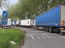 Een overvolle parkeerplaats met vrachtwagens (foto: TLN).